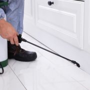 Close-up,Of,A,Pest,Control,Worker's,Hand,Spraying,Pesticide,On